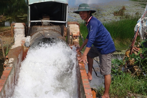 Dẫn nước đã được xử lý phèn vào ao tích trữ nước phục vụ sản xuất nông nghiệp.