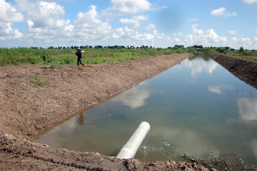 Trữ nước mưa ứng phó với biến đổi khí hậu.