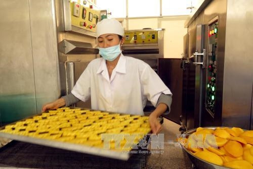 Cơ sở sản xuất khóm của Công ty TNHH Hữu Hạn Phát Vũ Đạt, ấp An Ninh, xã Bình An, huyện Châu Thành chuyên sản xuất khóm khô sấy dẻo, mứt khóm…đảm bảo vệ sinh an toàn thực phẩm. Bình quân 1 tháng cung ứng ra thị trường tới các siêu thị từ 700 – 1 tấn khóm (dứa) khô sấy dẻo. Ảnh: Mạnh Linh-TTXVN