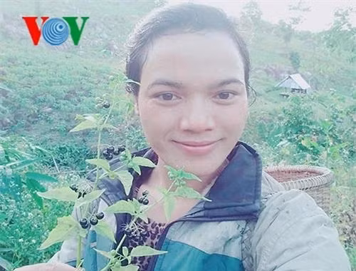 Hồ Thị Viên bên vườn cà gai leo của mình. Ảnh: vov4.vov.vn