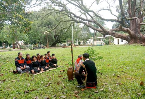 Lễ vật được bày cách cây khoảng 10 mét, thầy cúng sẽ thực hiện nghi thức cúng trước mâm lễ vật Lễ vật được bày cách cây khoảng 10 mét, thầy cúng sẽ thực hiện nghi thức cúng trước mâm lễ vật