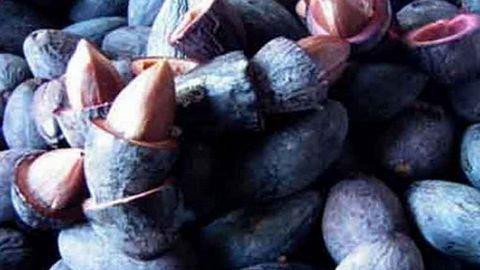 Những món ngon khó quên khi đặt chân đến Thái Nguyên ảnh 4 Những món ngon khó quên khi đặt chân đến Thái Nguyên ảnh 4