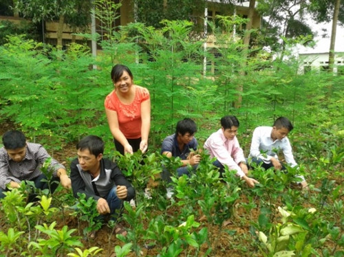 Chị Hoàng Thị Hương hướng dẫn sinh viên thực hành trên mô hình vườn ươm của nhà trường. Chị Hoàng Thị Hương hướng dẫn sinh viên thực hành trên mô hình vườn ươm của nhà trường.