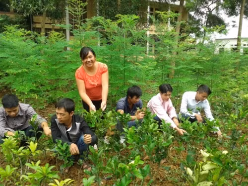 Chị Hoàng Thị Hương hướng dẫn sinh viên thực hành trên mô hình vườn ươm của nhà trường.