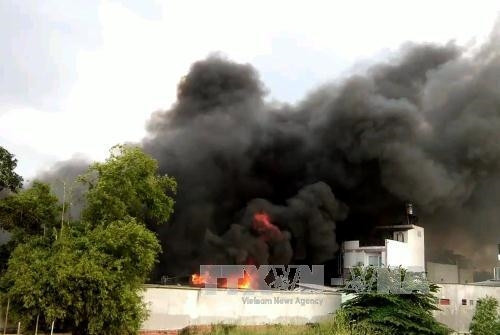 Cháy lớn ở xưởng tôm đông lạnh tại Thành phố Hồ Chí Minh ảnh 1