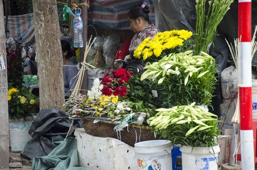 Trên khắp phố, đâu đâu cũng thấy những giỏ hoa loa kèn. Trên khắp phố, đâu đâu cũng thấy những giỏ hoa loa kèn.