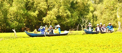 Bơi xuồng ba lá trong rừng tràm Trà Sư vốn bình dị nhưng rất hấp dẫn du khách Bơi xuồng ba lá trong rừng tràm Trà Sư vốn bình dị nhưng rất hấp dẫn du khách