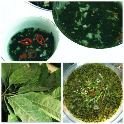 Nộm rau dớn và canh lá đắng - món ăn của người Tây Bắc ảnh 3