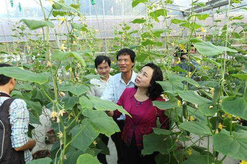 Kiểm tra xây dựng nông thôn mới, thăm các mô hình sản xuất nông nghiệp công nghệ cao tại huyện Thạch Thất ảnh 10