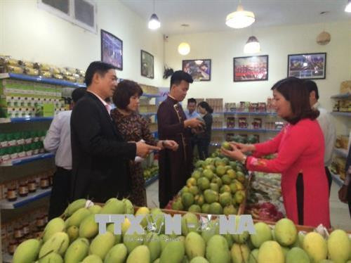 Giới thiệu nông sản tiêu biểu Cần Thơ tại Hà Nội.Ảnh: Phương Anh-TTXVN Giới thiệu nông sản tiêu biểu Cần Thơ tại Hà Nội.Ảnh: Phương Anh-TTXVN