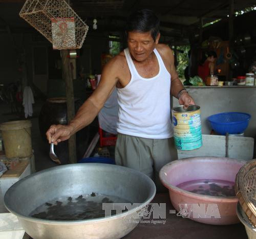 Cho ba ba con ăn. Ảnh: Hồng Thái - TTXVN Cho ba ba con ăn. Ảnh: Hồng Thái - TTXVN