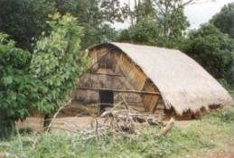 Ngôi nhà trệt nhóm Mnông Prâng ở huyện Ðắk Nông có kiến trúc như mô phỏng và mở rộng của một vòm hang động. Ðây là lối kiến trúc nhà không có chái. Cửa ra vào luôn được mở ở hai phía: phía hồi và phía mái, điểm khác biệt so với lối mở cửa của nhà sàn dài. Ngôi nhà trệt nhóm Mnông Prâng ở huyện Ðắk Nông có kiến trúc như mô phỏng và mở rộng của một vòm hang động. Ðây là lối kiến trúc nhà không có chái. Cửa ra vào luôn được mở ở hai phía: phía hồi và phía mái, điểm khác biệt so với lối mở cửa của nhà sàn dài.