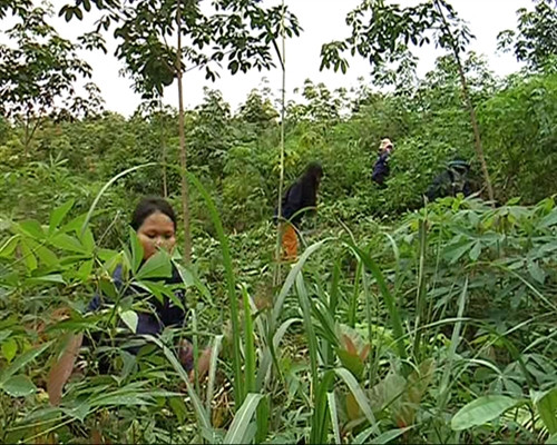 Tạo sinh kế gắn với định canh định cư ảnh 1