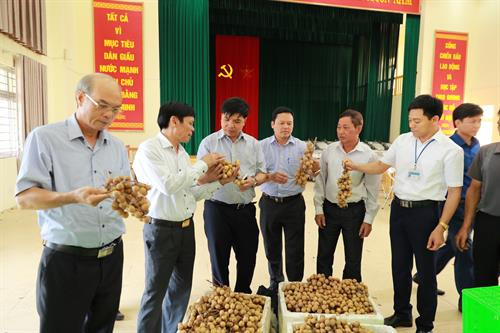 Phó Chủ tịch Thường trực UBND Thành phố Hà Nội Nguyễn Văn Sửu (thứ hai, bên trái) yêu cầu ngành nông nghiệp thành phố cùng các địa phương cần đẩy mạnh phát triển sản phẩm nhãn chín muộn, nâng cao cả sản lượng và chất lượng, để xuất khẩu thêm nhiều thị trường khác trên thế giới. Ảnh: Lê Lan Hương Phó Chủ tịch Thường trực UBND Thành phố Hà Nội Nguyễn Văn Sửu chụp ảnh lưu niệm với Đoàn cán bộ Hội đồng xúc tiến Nông Lâm Ngư nghiệp Nhật Bản nhân dịp đoàn đến thăm Trang trại trồng nhãn chín muộn của hộ gia đình ông Trần Văn Bảy – Phó Chủ tịch Hội sản xuất và kinh doanh nhãn chín muộn huyện Hoài Đức, Hà Nội. Ảnh: Lê Lan Hương Lãnh đạo địa phương và Lãnh đạo Sở Nông nghiệp và Phát triển nông thôn Hà Nội đánh giá chất lượng sản phẩm nhãn chín muộn của xã Đại Thành, huyện Quốc Oai, Hà Nội. Ảnh: Lê Lan Hương Lãnh đạo địa phương và Lãnh đạo Sở Nông nghiệp và Phát triển nông thôn Hà Nội đánh giá chất lượng sản phẩm nhãn chín muộn của xã Đại Thành, huyện Quốc Oai, Hà Nội. Ảnh: Lê Lan Hương Lãnh đạo địa phương và Lãnh đạo Sở Nông nghiệp và Phát triển nông thôn Hà Nội đánh giá chất lượng sản phẩm nhãn chín muộn của xã Đại Thành, huyện Quốc Oai, Hà Nội. Ảnh: Lê Lan Hương