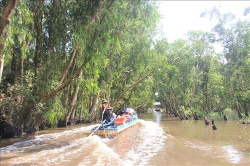 Rừng tràm Trà Sư nằm trong hệ thống các khu rừng đặc dụng của Việt Nam, được công nhận là khu bảo vệ cảnh quan năm 2005. Ảnh: Thanh Sang - TTXVN Rừng tràm Trà Sư nằm trong hệ thống các khu rừng đặc dụng của Việt Nam, được công nhận là khu bảo vệ cảnh quan năm 2005. Ảnh: Thanh Sang - TTXVN
