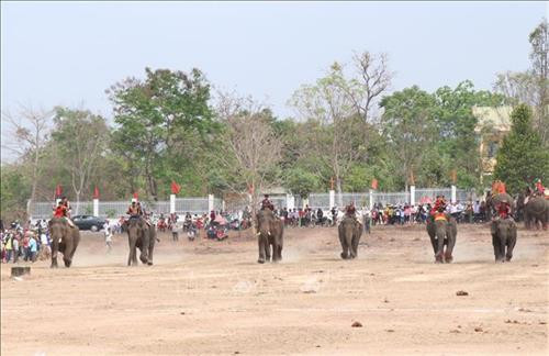 Pha tranh chấp bóng trong phần thi voi đá bóng. Ảnh: Tuấn Anh - TTXVN Pha tranh chấp bóng trong phần thi voi đá bóng. Ảnh: Tuấn Anh - TTXVN Pha khống chế bóng tốt của “vận động viên voi” trong phần thi voi đá bóng. Ảnh: Tuấn Anh - TTXVN Phần thi voi chạy đua tại Hội voi. Ảnh: Tuấn Anh - TTXVN Voi tăng tốc cán đích. Ảnh: Tuấn Anh - TTXVN Voi tăng tốc cán đích. Ảnh: Tuấn Anh - TTXVN Voi tăng tốc cán đích. Ảnh: Tuấn Anh - TTXVN Voi dự tiệc “bufet” sau phần thi chạy đua. Ảnh: Tuấn Anh - TTXVN Pha tranh chấp bóng trong phần thi voi đá bóng. Ảnh: Tuấn Anh - TTXVN Pha tranh chấp bóng trong phần thi voi đá bóng. Ảnh: Tuấn Anh - TTXVN Pha khống chế bóng tốt của “vận động viên voi” trong phần thi voi đá bóng. Ảnh: Tuấn Anh - TTXVN Phần thi voi chạy đua tại Hội voi. Ảnh: Tuấn Anh - TTXVN Voi tăng tốc cán đích. Ảnh: Tuấn Anh - TTXVN Voi tăng tốc cán đích. Ảnh: Tuấn Anh - TTXVN Voi tăng tốc cán đích. Ảnh: Tuấn Anh - TTXVN Voi dự tiệc “bufet” sau phần thi chạy đua. Ảnh: Tuấn Anh - TTXVN