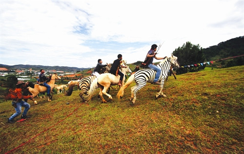 Các "kỵ mã" phải đua ngựa không yên leo núi Lang Biang Các "kỵ mã" phải đua ngựa không yên leo núi Lang Biang