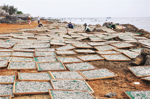 Ngư dân Phơi cá