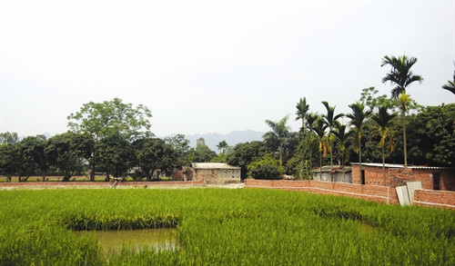 Hàng rào bảo vệ vườn có thể là cây cối, lưới sắt hoặc xây tường gạch bao quanh Hàng rào bảo vệ vườn có thể là cây cối, lưới sắt hoặc xây tường gạch bao quanh