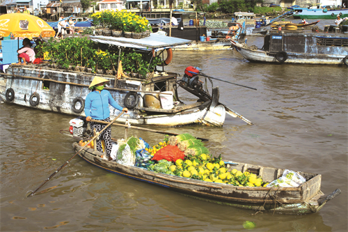Chợ nổi Cái Răng là chợ nổi đặc trưng ở vùng đồng bằng sông Cửu Long
