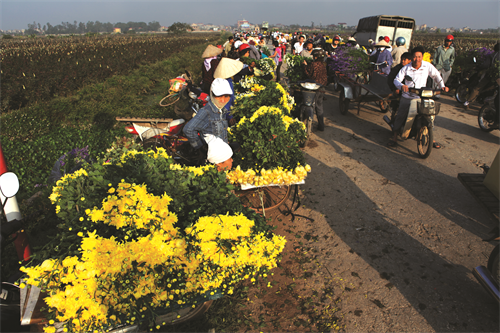 Cảnh đông vui, nhộn nhịp ở đất hoa Mê Linh vào mỗi dịp lễ, tết