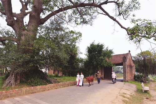 Cổng lang Đường Lâm