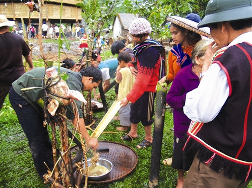 Chuẩn bị lễ vật dâng cúng Yàng và các thần linh