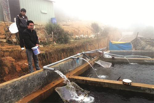 Ba ba được cung cấp thức ăn đầy đủ sẽ phát triển nhanh Ba ba được cung cấp thức ăn đầy đủ sẽ phát triển nhanh