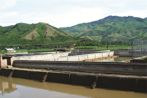 Khu nuôi ba ba cần thoáng mát, yên tĩnh