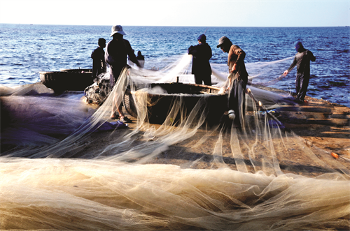 Ngư dân kéo lưới