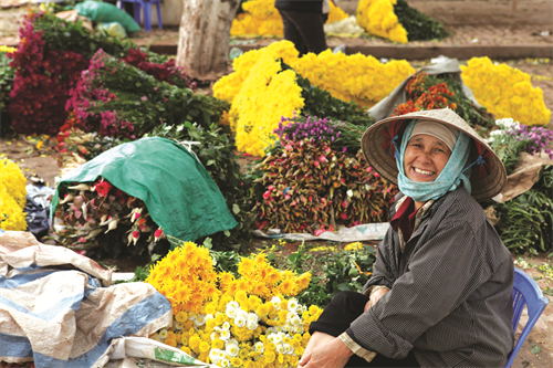 Niềm vui được mùa hoa của bà con nông dân Mê Linh