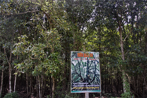 Vườn quốc gia Mũi Cà Mau