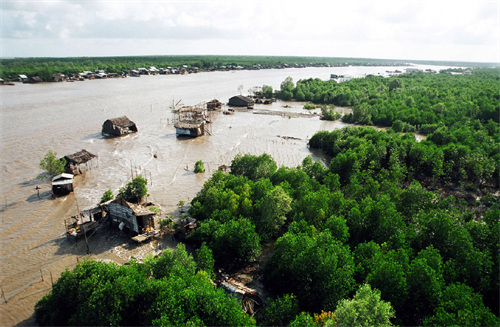 Thảm thực vật phong phú ở vườn quốc gia