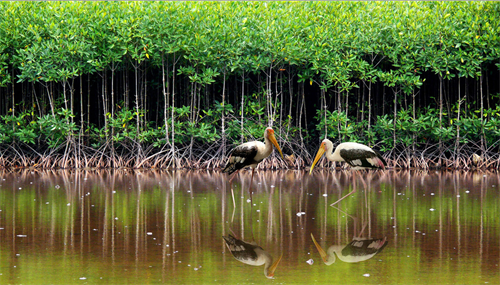 Thiên nhiên ban tặng cho Vườn quốc gia một phong cảnh thanh bình