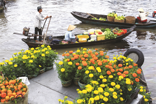 Sắc xuân trên chợ nổi Cái Răng