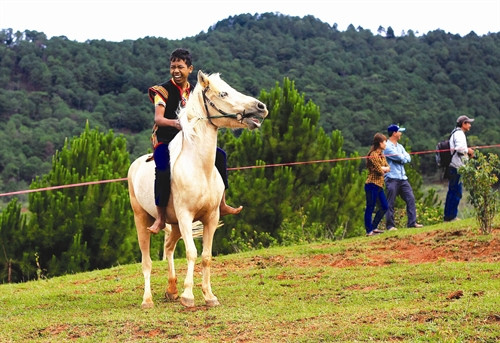 Ngựa đua phải là ngựa nuôi thuần chủng tại Lang Biang Ngựa đua phải là ngựa nuôi thuần chủng tại Lang Biang
