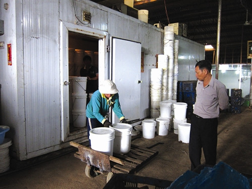 Quyết tâm vượt khó làm giàu, ông Hấu A Sy đã vay hơn 1 tỷ đồng xây dựng nhà xưởng, kho đông lạnh... để thu mua, sơ chế quả chanh dây