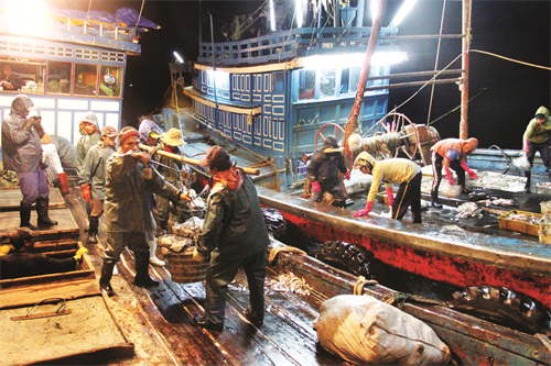 Tàu hậu cần luôn theo sát các tàu đánh bắt hải sản Tàu hậu cần luôn theo sát các tàu đánh bắt hải sản