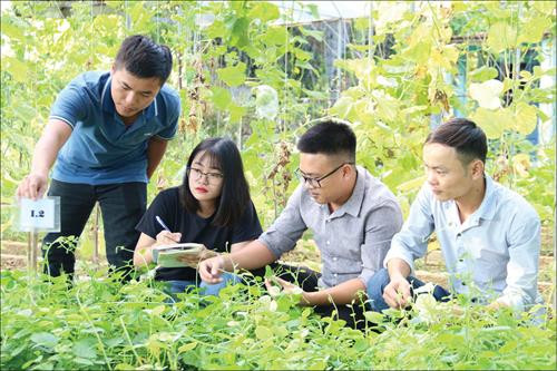 Nhóm Leafpic Pro làm các nghiên cứu ở vườn. Ảnh:baothuathienhue.vn Nhóm Leafpic Pro làm các nghiên cứu ở vườn. Ảnh:baothuathienhue.vn
