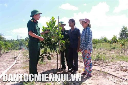 Cán bộ Đoàn kinh tế quốc phòng 737 hướng dẫn đồng bào dân tộc ở xã Ia R'vê, huyện biên giới Ea Súp cách chăm sóc mít Thái. Ảnh: Phạm Cường