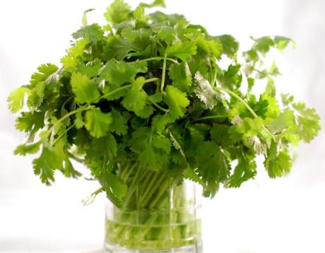 Những công dụng tuyệt vời của rau mùi thơm ảnh 18 Những công dụng tuyệt vời của rau mùi thơm ảnh 18