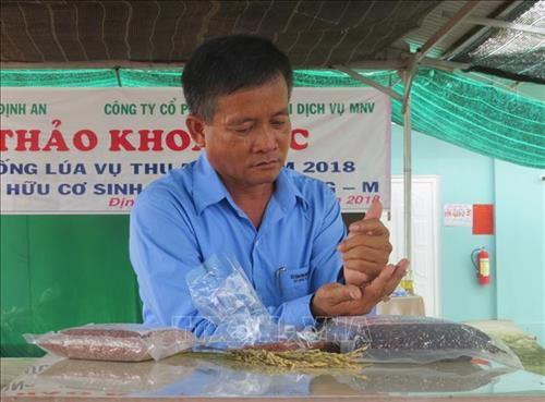 Người nông dân"Kỹ sư chân đất" Nguyễn Anh Dũng đam mê với sáng tạo lúa giống đặc sản. Ảnh: Chương Đài - TTXVN Người nông dân"Kỹ sư chân đất" Nguyễn Anh Dũng đam mê với sáng tạo lúa giống đặc sản. Ảnh: Chương Đài - TTXVN