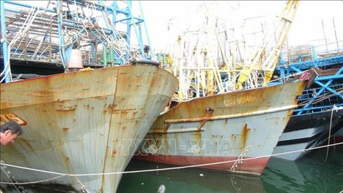 Năm 2018 đã có hàng trăm lượt tàu thuyền có công suất lớn được hỗ trợ chi phí nhiên liệu. Ảnh: Hữu Trung - TTXVN Năm 2018 đã có hàng trăm lượt tàu thuyền có công suất lớn được hỗ trợ chi phí nhiên liệu. Ảnh: Hữu Trung - TTXVN