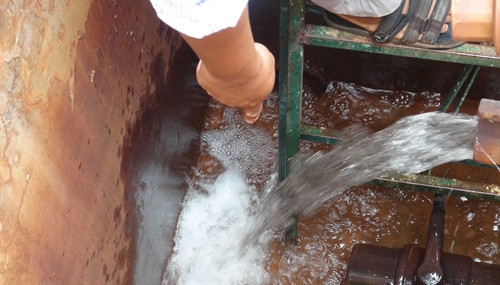 Nước thải sau khi được xử lý bằng rễ sậy đã trong sạch như thường Nước thải sau khi được xử lý bằng rễ sậy đã trong sạch như thường