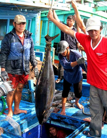 Tận dụng cơ hội từ giá dầu giảm ảnh 1