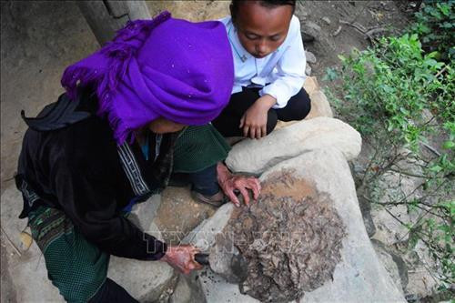 Vỏ cây được đập nát sau khi ngâm với nước để làm giấy. Ảnh: Văn Dũng - TTXVN