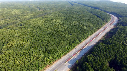 Những cánh rừng bạt ngạt xanh ngút tầm mắt dọc tuyến đường huyết mạch Rừng Sác-Cần Giờ kết nối từ trung tâm TP. Hồ Chí Minh xuống thị trấn Cần Thạnh, tạo điều kiện cho phát triển du lịch.