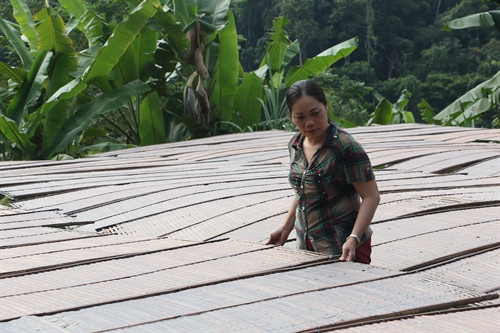 Chị Triệu Thị Tá kiểm tra miến phơi . Chị Triệu Thị Tá kiểm tra miến phơi .