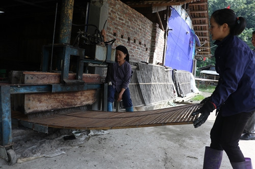 Sản xuất miến dong tại Cơ sở sản xuất miến dong của chị Triệu Thị Tá. Sản xuất miến dong tại Cơ sở sản xuất miến dong của chị Triệu Thị Tá.