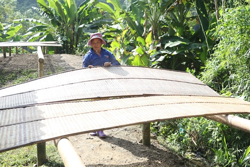 Miến được phơi dưới ánh nắng theo phương pháp thủ công. Miến được phơi dưới ánh nắng theo phương pháp thủ công.